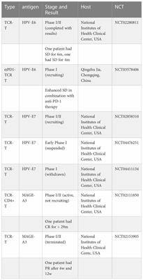 T cell immunotherapy for cervical cancer: challenges and opportunities